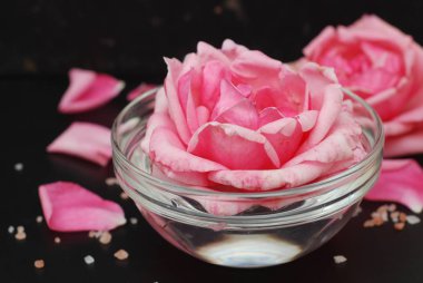 Yumuşak renk, seçici odak, Spa ve güzellik kavramı siyah arka plan kopya alanı gül çiçek pembe.