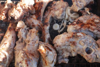 Kömür üzerinde Marine edilmiş kuzu kuzu eti Barbekü barbekü hazırlanıyor ızgara. Barbekü piknik