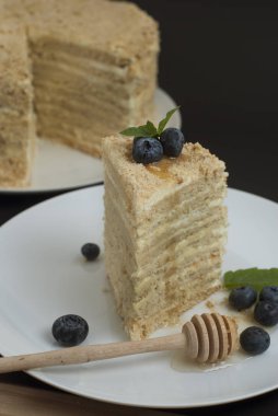 Katmanlı ev yapımı tatlım pasta seçici odak bluebery beyaz dilim yuvarlak tabak