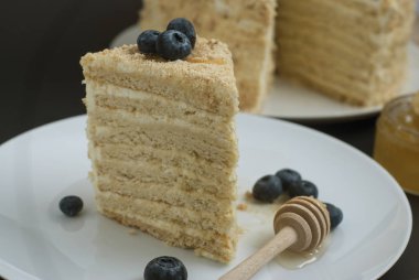 Katmanlı ev yapımı tatlım pasta seçici odak bluebery beyaz dilim yuvarlak tabak