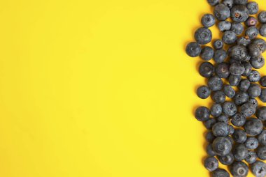 Sarı renkli arka plan üzerinde izole yaban mersini yığını. Yaz vibe meyve kopya alanı ile dut.