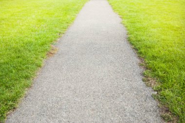 Yol ve yeşil çayır çimen çimento. Metin için yer kopyalayın.