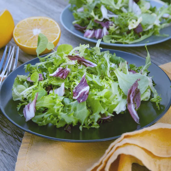 Ispanak Romaine Marullu Taze Yeşil Salata — Stok fotoğraf