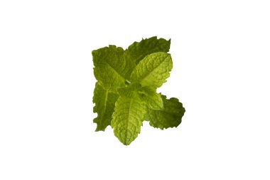 Beyaz arka planda izole taze nane. Coktails veya taze meyveler için yaprakları. Tasarım için yaz şablonu kopyalamak istediğiniz. Gıda mockup.