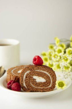 Krem ile İsviçre rulo çikolata kek çikolata. Tatlı. Kahvaltı kahve bardağı ve kek. Işık arka plan.