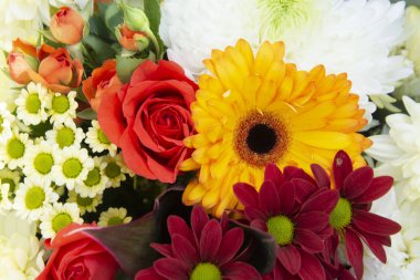 Gül, krizantem ve Camomile renkli bahar buket çiçekler. Güzel çiçek hediyesi. Tasarım için şablon. Boşluk Kopyala.