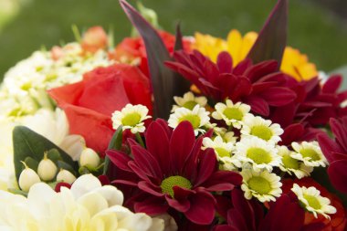 Gül, krizantem ve Camomile renkli bahar buket çiçekler. Güzel çiçek hediyesi. Tasarım için şablon. Boşluk Kopyala.