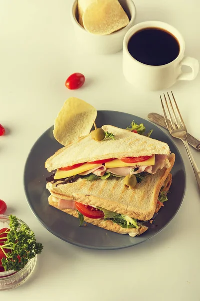 Homemade sandwich. Toasted double panini with ham, cheese fresh vegetables. Snack at work or lunch. Light background. — Stock Photo, Image