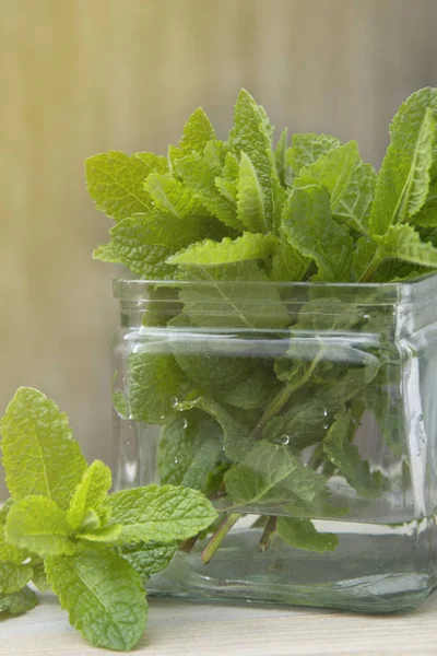 Fräsch sommar Mint. Mat eller dryck ingrediens. Rustik stil. Trä bakgrund, kopiera utrymme. — Stockfoto