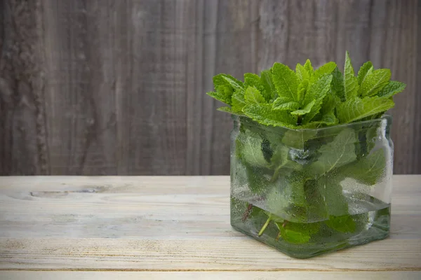 Fresh peppermint leaves banner. Summer drinks ingredient, cocktail. Garden eco mint leaves. Rustic style. — Stock Photo, Image