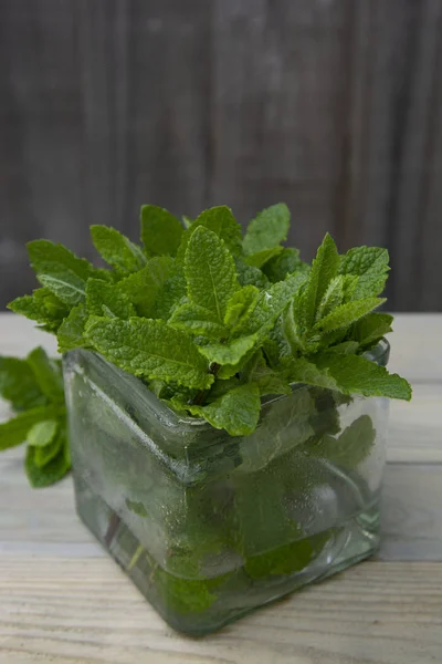 Fresh peppermint leaves background. Summer drinks ingredient, cocktail. Garden eco mint leaves. Dessert food ingredient. — Stock Photo, Image