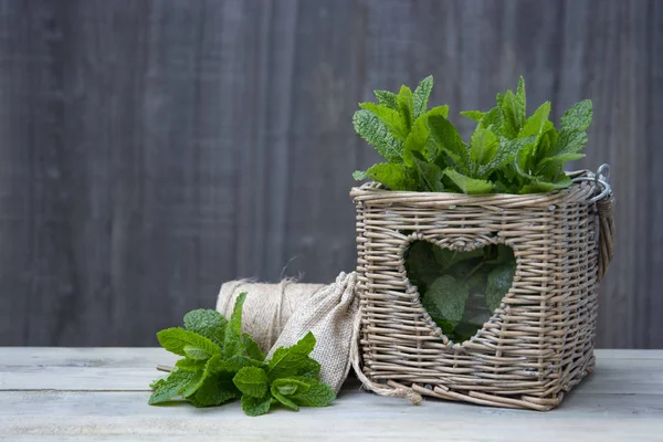 Fresh peppermint leaves. Summer drinks ingredient, cocktail. Garden eco mint leaves. Rustic style. Copy space, hd video. — Stock Photo, Image