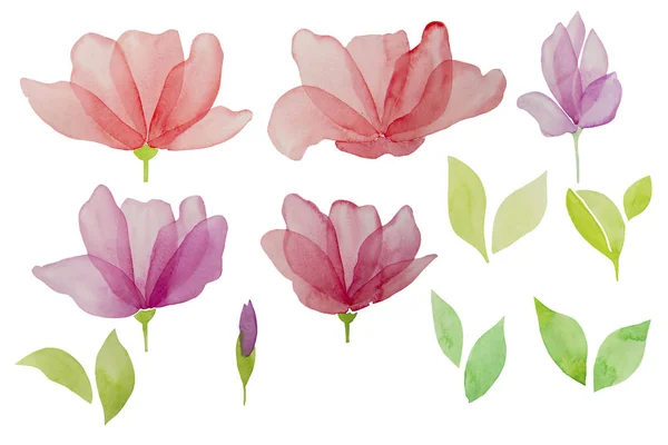 Watercolor hand drawn flowers isolated on a white background. Design element.