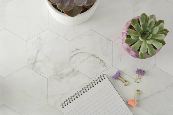 Workplace styled flat lay. Notebook, pen and succulent on marble table.