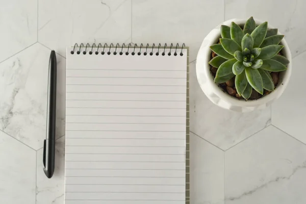 Local de trabalho estilo flat lay. Caderno, caneta e suculento sobre mesa de mármore . — Fotografia de Stock