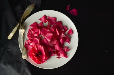 Siyah arka plan üzerinde beyaz plaka pembe çiçek yaprakları, kadınsı arka plan, üst görünüm.