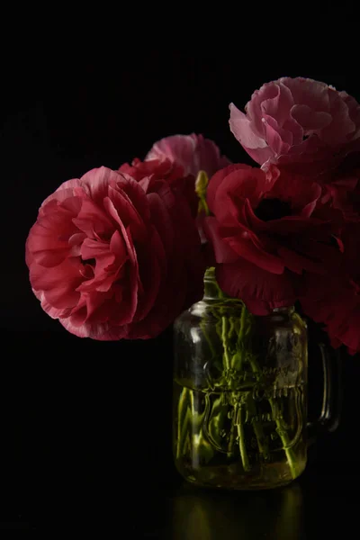Rode Ranunculus bloemen op zwarte achtergrond. Donkere foto. — Stockfoto