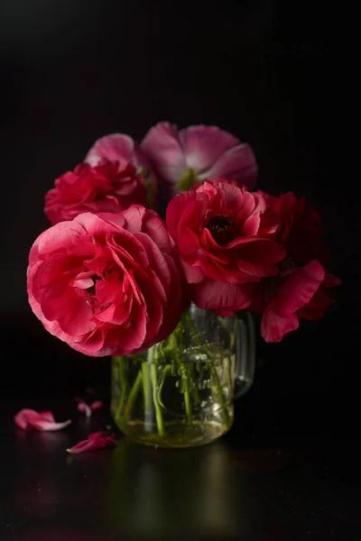 Rode Ranunculus bloemen op zwarte achtergrond. Donkere foto. — Stockfoto