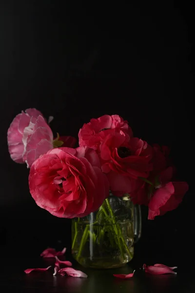 Rode Ranunculus bloemen op zwarte achtergrond. Donkere foto. — Stockfoto