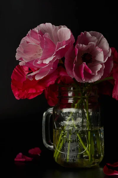 Rode Ranunculus bloemen op zwarte achtergrond. Donkere foto. — Stockfoto