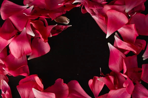 Rode Ranunculus bloemblaadjes op zwarte achtergrond. Donkere foto. — Stockfoto