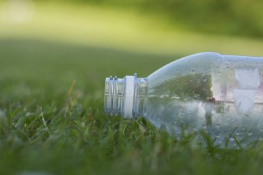 Plastik kavramıgeri dönüşüm. Sıfır atık. Çimenlerin üzerine boş plastik şişe. Kopyalama alanı.