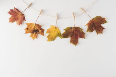 Beyaz, kopya alanı izole bir çamaşır ipi asılı Sonbahar yaprakları. Düz yatıyordu sonbahar arka plan.