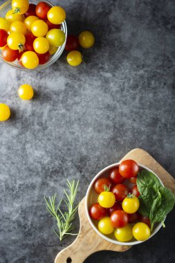 Taze, organik sarı ve kırmızı domates tabakta, koyu arka plan üzerinde izole. Kopyalama alanı.