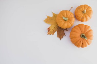 Kopya alanı ile turuncu kabaklar beyaz arka plan ile Sonbahar arka plan akçaağaç yaprakları, sonbahar