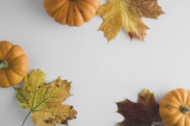 Kopya alanı ile turuncu kabaklar beyaz arka plan ile Sonbahar arka plan akçaağaç yaprakları, sonbahar