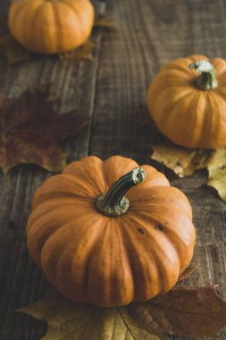 Şükran Günü, eski ahşap balkabaklarıyla sonbahar natürmortu.