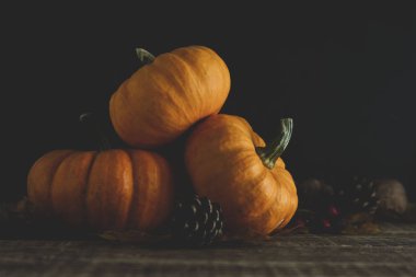 Turuncu littlep kabak koyu ahşap arka plan derin gölgeler, rustik tarzı halloween, şükran, sonbahar
