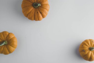 Kopya alanı ile turuncu kabaklar beyaz arka plan ile Sonbahar arka plan akçaağaç yaprakları, sonbahar