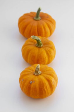 Kopya alanı ile turuncu kabaklar beyaz arka plan ile Sonbahar arka plan akçaağaç yaprakları, sonbahar