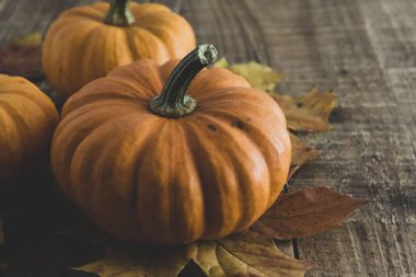 Şükran Günü, eski ahşap balkabaklarıyla sonbahar natürmortu.