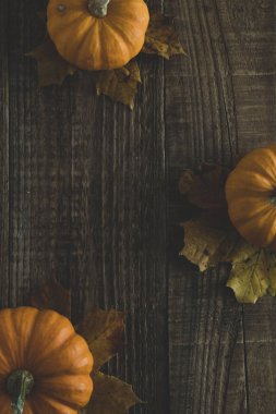 Eski ahşap arka plan üzerinde kabak ile Şükran sonbahar rustik, kopya alanı