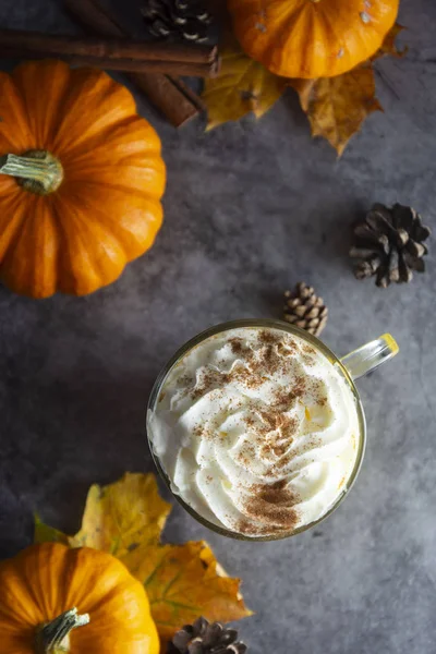 Spiced autumn pumpkin latte drink with cinnamon and cream foam top view with copy space fall drink