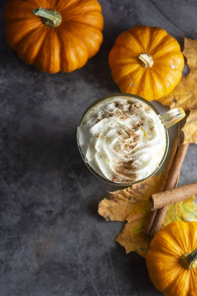 Spiced autumn pumpkin latte drink with cinnamon and cream foam top view with copy space fall drink — Stock Photo, Image