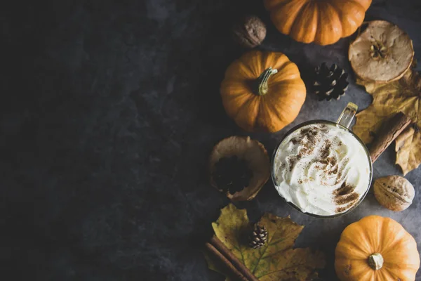 Spiced autumn pumpkin latte drink with cinnamon and cream foam top view with copy space fall drink