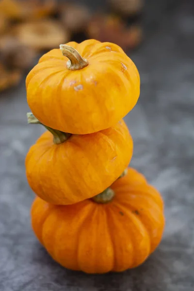 Őszi háttér sütőtök texturált sötét fórumon. Halloween, Hálaadás narancs kis tök. — Stock Fotó