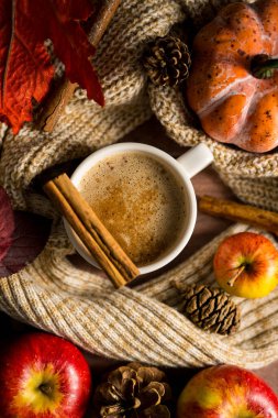 Sıcak içecek, elmalı ve tarçınlı sıcak sonbahar kahvesi, portakal kabakları, ahşap kırsal arka plan..