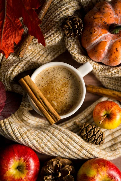 Sıcak içecek, elmalı ve tarçınlı sıcak sonbahar kahvesi, portakal kabakları, ahşap kırsal arka plan..