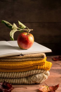 Sonbahar kırsal arka planı. Elma, yaprak ve örgü battaniyeli bir defter. Karanlık, karamsar stil