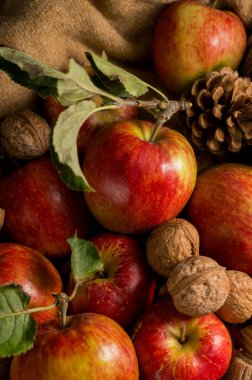 Sepette taze toplanmış kırmızı elmalar, fındıklar ve kozalaklar, kırsal ahşap arka plan.