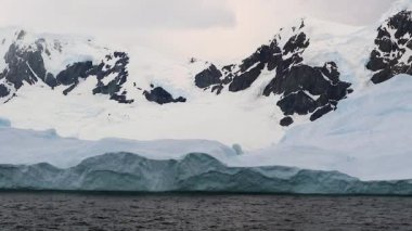 Güzel buzdağı Antarktika