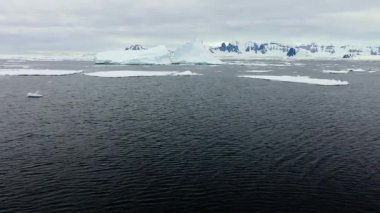 Güzel buzdağı Antarktika