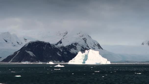 Vackra Isberg Antarktis — Stockvideo