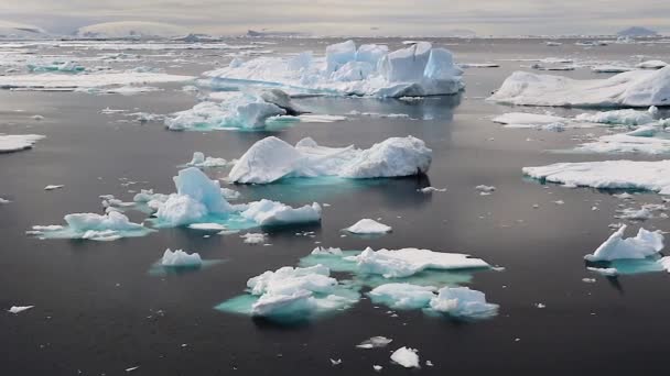 Hermoso Iceberg Antártida — Vídeos de Stock