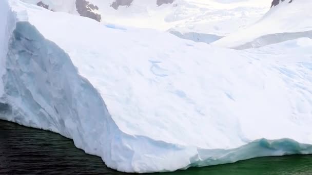 Bellissimo Iceberg Antartide — Video Stock