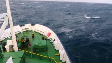 Drake Passage fırtınada